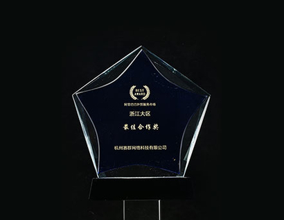 Best cooperation award